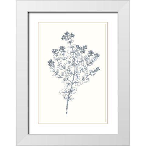 Indigo Botany Study VI White Modern Wood Framed Art Print with Double Matting by Vision Studio