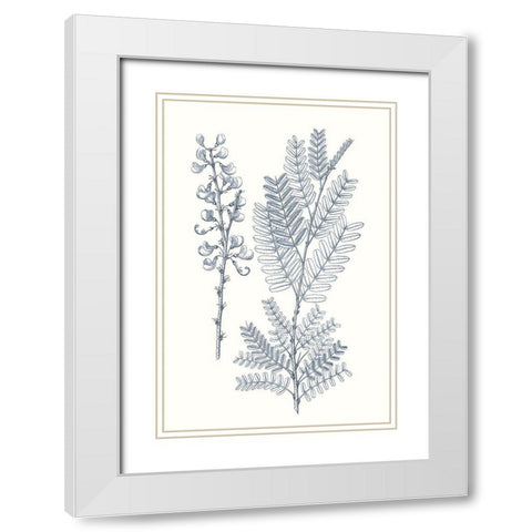 Indigo Botany Study VII White Modern Wood Framed Art Print with Double Matting by Vision Studio