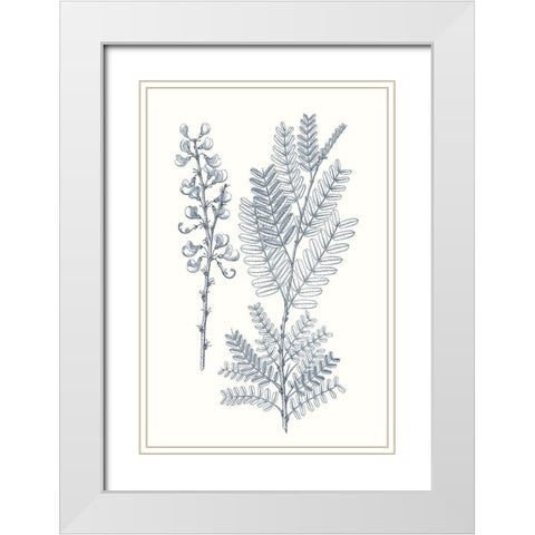 Indigo Botany Study VII White Modern Wood Framed Art Print with Double Matting by Vision Studio