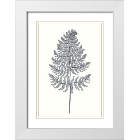 Indigo Botany Study VIII White Modern Wood Framed Art Print with Double Matting by Vision Studio