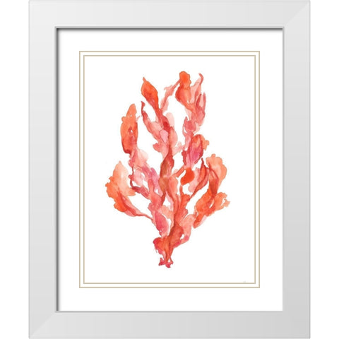 Coral Kelp II White Modern Wood Framed Art Print with Double Matting by Goldberger, Jennifer