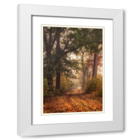 Autumns Walk I White Modern Wood Framed Art Print with Double Matting by Head, Danny