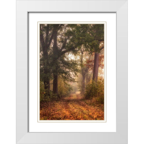 Autumns Walk I White Modern Wood Framed Art Print with Double Matting by Head, Danny