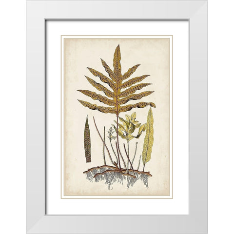 Fern Botanical I White Modern Wood Framed Art Print with Double Matting by Vision Studio