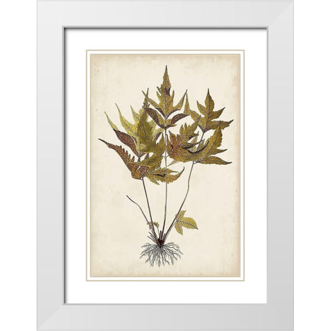 Fern Botanical II White Modern Wood Framed Art Print with Double Matting by Vision Studio