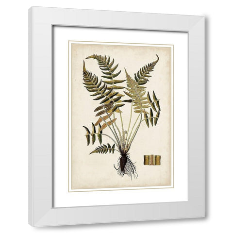 Fern Botanical IV White Modern Wood Framed Art Print with Double Matting by Vision Studio