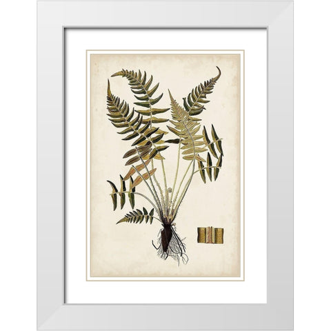 Fern Botanical IV White Modern Wood Framed Art Print with Double Matting by Vision Studio