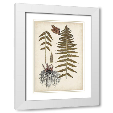 Fern Botanical V White Modern Wood Framed Art Print with Double Matting by Vision Studio