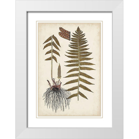 Fern Botanical V White Modern Wood Framed Art Print with Double Matting by Vision Studio