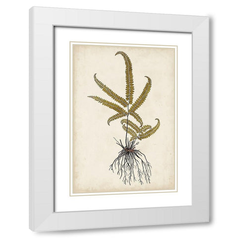 Fern Botanical VI White Modern Wood Framed Art Print with Double Matting by Vision Studio