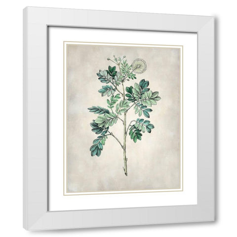 Acacia Tree I White Modern Wood Framed Art Print with Double Matting by Vision Studio