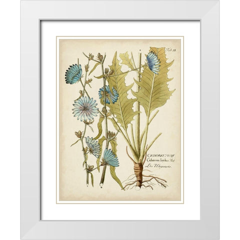 Eloquent Botanical I White Modern Wood Framed Art Print with Double Matting by Vision Studio