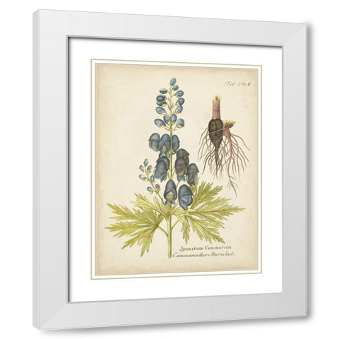 Eloquent Botanical II White Modern Wood Framed Art Print with Double Matting by Vision Studio