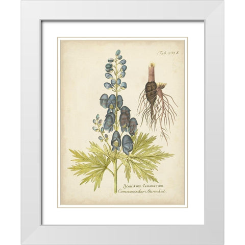 Eloquent Botanical II White Modern Wood Framed Art Print with Double Matting by Vision Studio