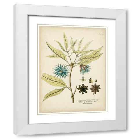 Eloquent Botanical III White Modern Wood Framed Art Print with Double Matting by Vision Studio