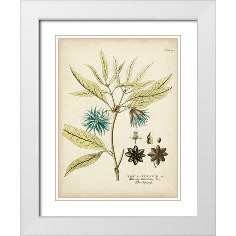 Eloquent Botanical III White Modern Wood Framed Art Print with Double Matting by Vision Studio