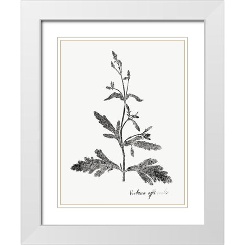 Botanical Imprint III White Modern Wood Framed Art Print with Double Matting by Vision Studio