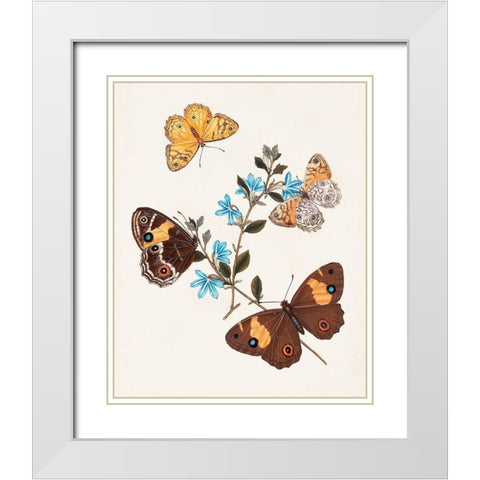 Butterflies and Moths I White Modern Wood Framed Art Print with Double Matting by Unknown