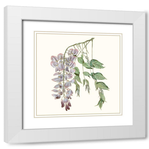 Graceful Botanical II White Modern Wood Framed Art Print with Double Matting by Vision Studio