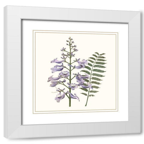 Graceful Botanical III White Modern Wood Framed Art Print with Double Matting by Vision Studio