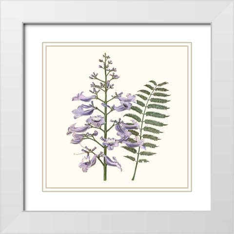 Graceful Botanical III White Modern Wood Framed Art Print with Double Matting by Vision Studio