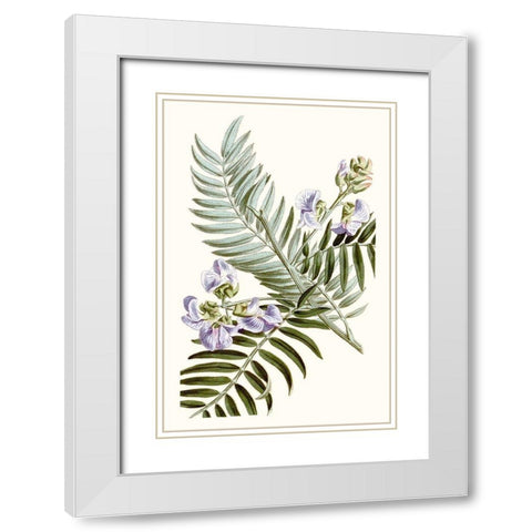 Graceful Botanical IV White Modern Wood Framed Art Print with Double Matting by Vision Studio