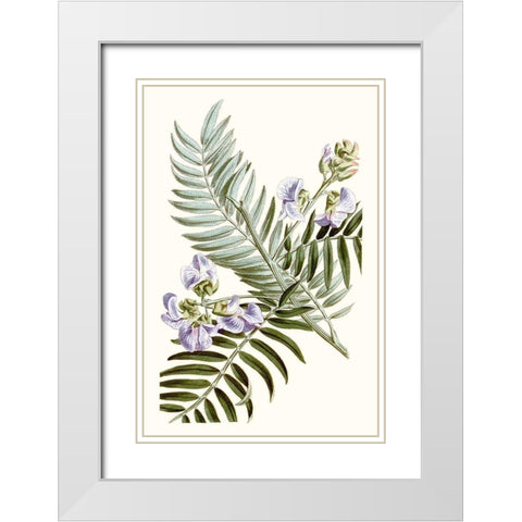 Graceful Botanical IV White Modern Wood Framed Art Print with Double Matting by Vision Studio