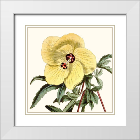 Cropped Antique Botanical VII White Modern Wood Framed Art Print with Double Matting by Vision Studio