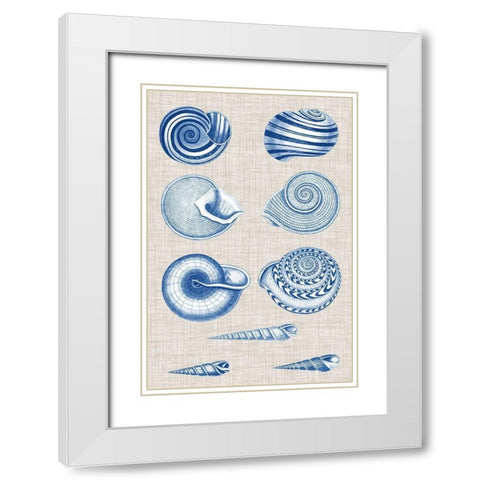 Navy and Linen Shells V White Modern Wood Framed Art Print with Double Matting by Vision Studio