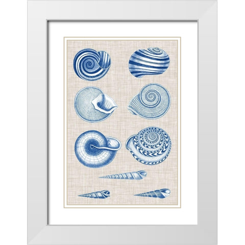 Navy and Linen Shells V White Modern Wood Framed Art Print with Double Matting by Vision Studio