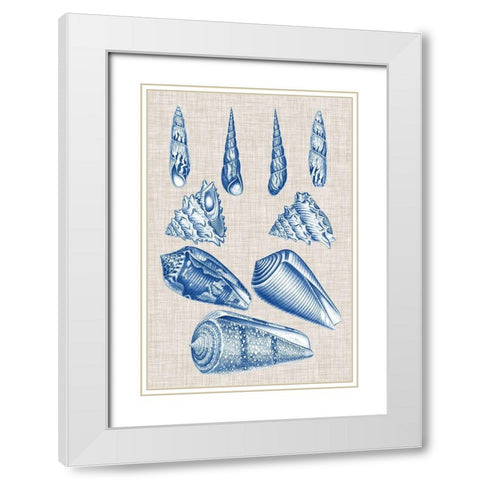 Navy and Linen Shells VI White Modern Wood Framed Art Print with Double Matting by Vision Studio