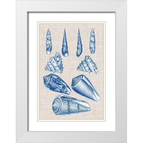 Navy and Linen Shells VI White Modern Wood Framed Art Print with Double Matting by Vision Studio