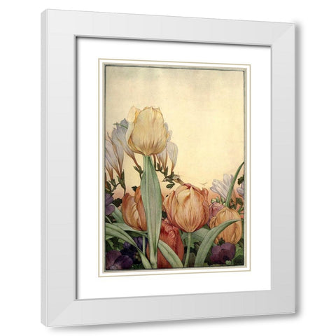 Garden Fantasy I White Modern Wood Framed Art Print with Double Matting by Unknown