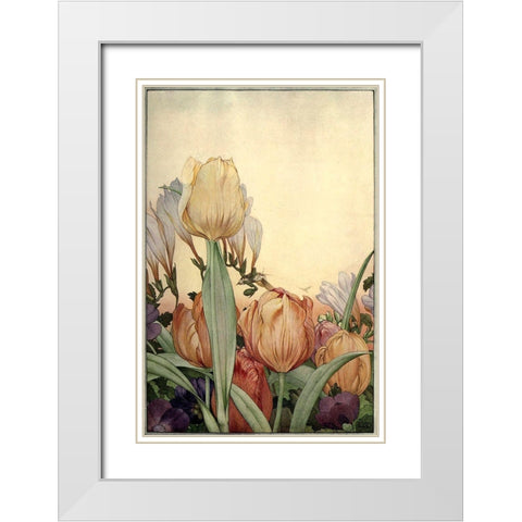 Garden Fantasy I White Modern Wood Framed Art Print with Double Matting by Unknown