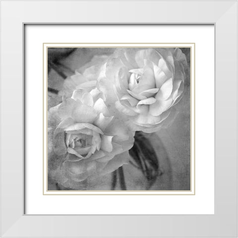 Dark Ranunculus I White Modern Wood Framed Art Print with Double Matting by Stalus, Judy