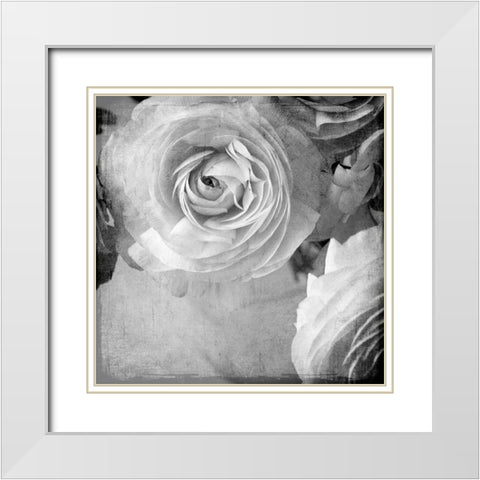 Dark Ranunculus IV White Modern Wood Framed Art Print with Double Matting by Stalus, Judy