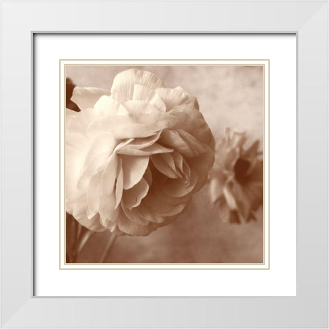 Sepia Rapture I White Modern Wood Framed Art Print with Double Matting by Stalus, Judy