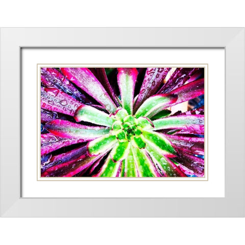 Bright Exotic I White Modern Wood Framed Art Print with Double Matting by Orlov, Irena