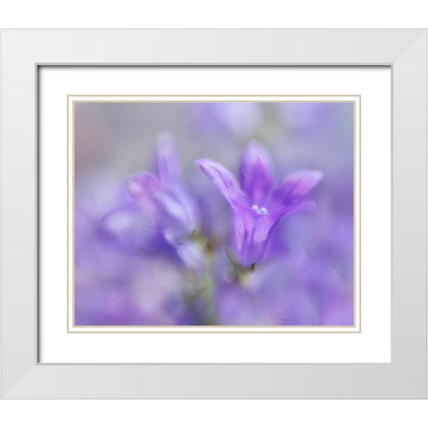 Ring the Bells of Change III White Modern Wood Framed Art Print with Double Matting by Hunt, Gillian