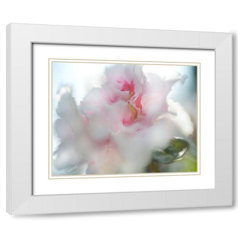 Hope in Pink II White Modern Wood Framed Art Print with Double Matting by Hunt, Gillian