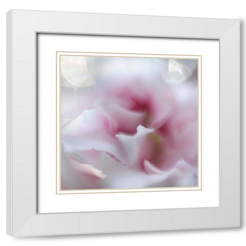Hope in Pink III White Modern Wood Framed Art Print with Double Matting by Hunt, Gillian