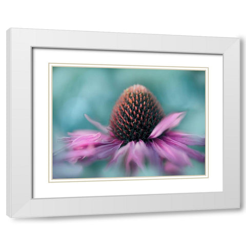 Sing to the Sun I White Modern Wood Framed Art Print with Double Matting by Hunt, Gillian