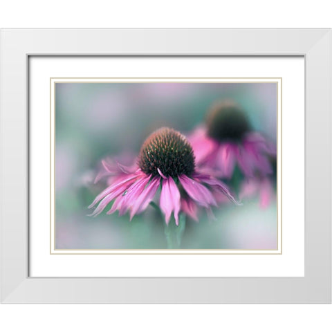 Sing to the Sun II White Modern Wood Framed Art Print with Double Matting by Hunt, Gillian