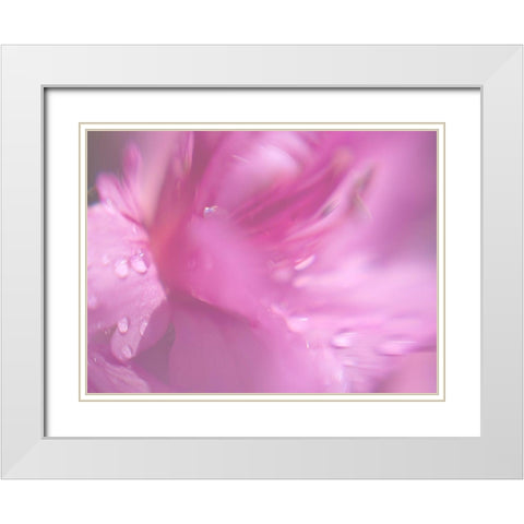 Hearts in Pink II White Modern Wood Framed Art Print with Double Matting by Hunt, Gillian