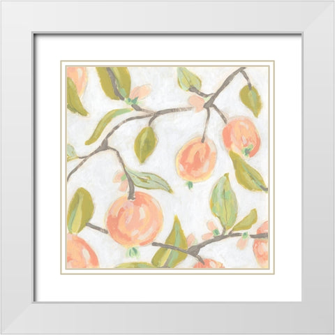 Fresh Fruit Fresco II White Modern Wood Framed Art Print with Double Matting by Vess, June Erica