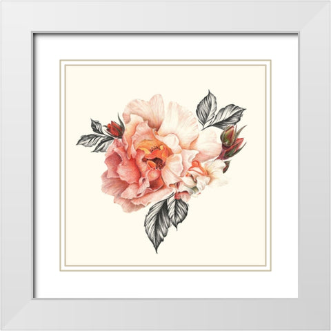 The Light of Day Rose I White Modern Wood Framed Art Print with Double Matting by Liama, Lily
