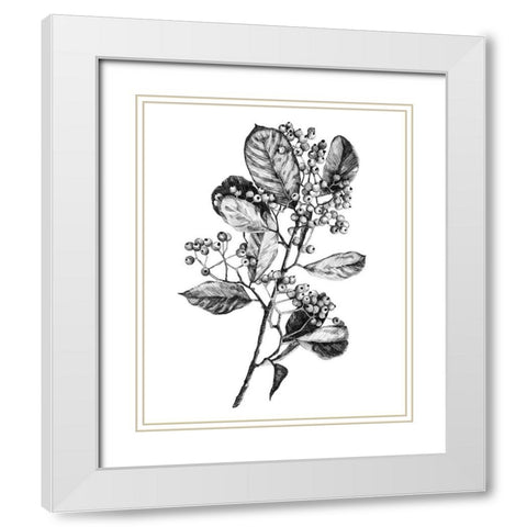 Hawthorn Berry Branch I White Modern Wood Framed Art Print with Double Matting by Scarvey, Emma