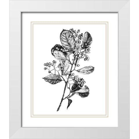 Hawthorn Berry Branch I White Modern Wood Framed Art Print with Double Matting by Scarvey, Emma