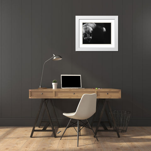 Wild Scratchboard III White Modern Wood Framed Art Print with Double Matting by Chapman, Julie T.