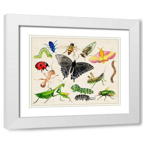 Bugdom I White Modern Wood Framed Art Print with Double Matting by Ludwig, Alicia